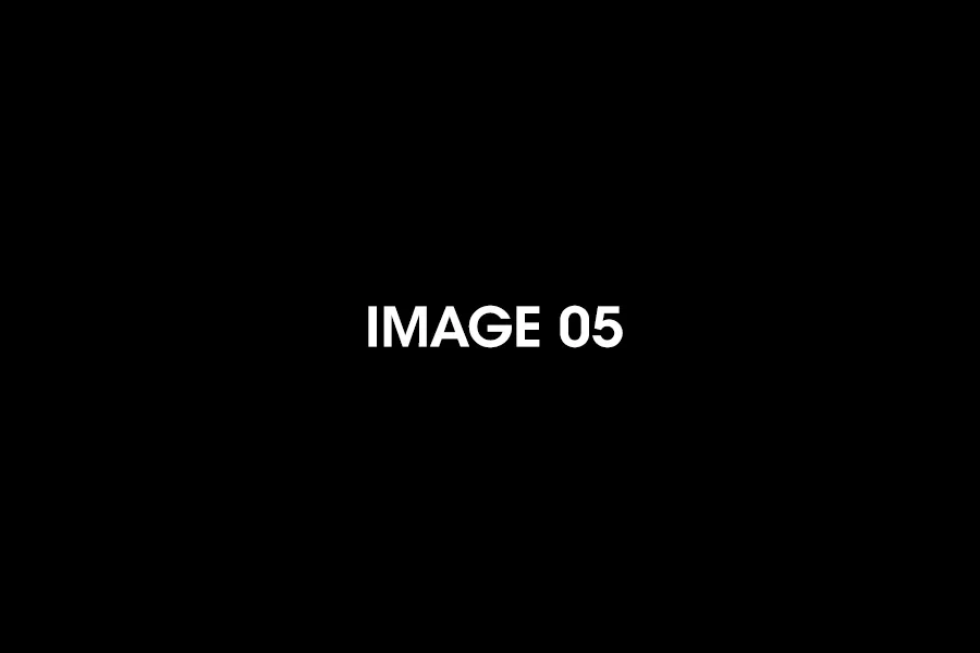 imagen05.webp